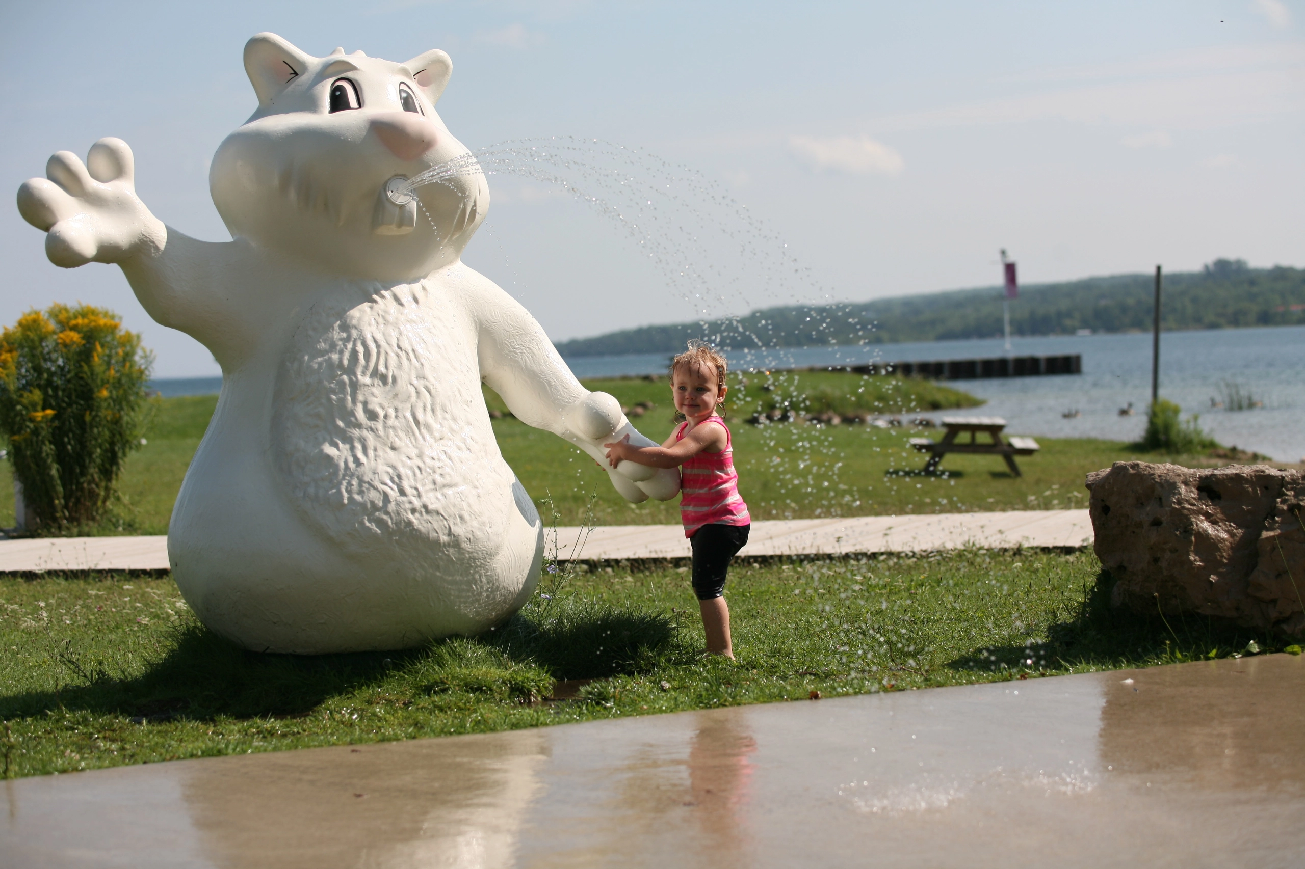 The countdown to the next Groundhog Day is on!