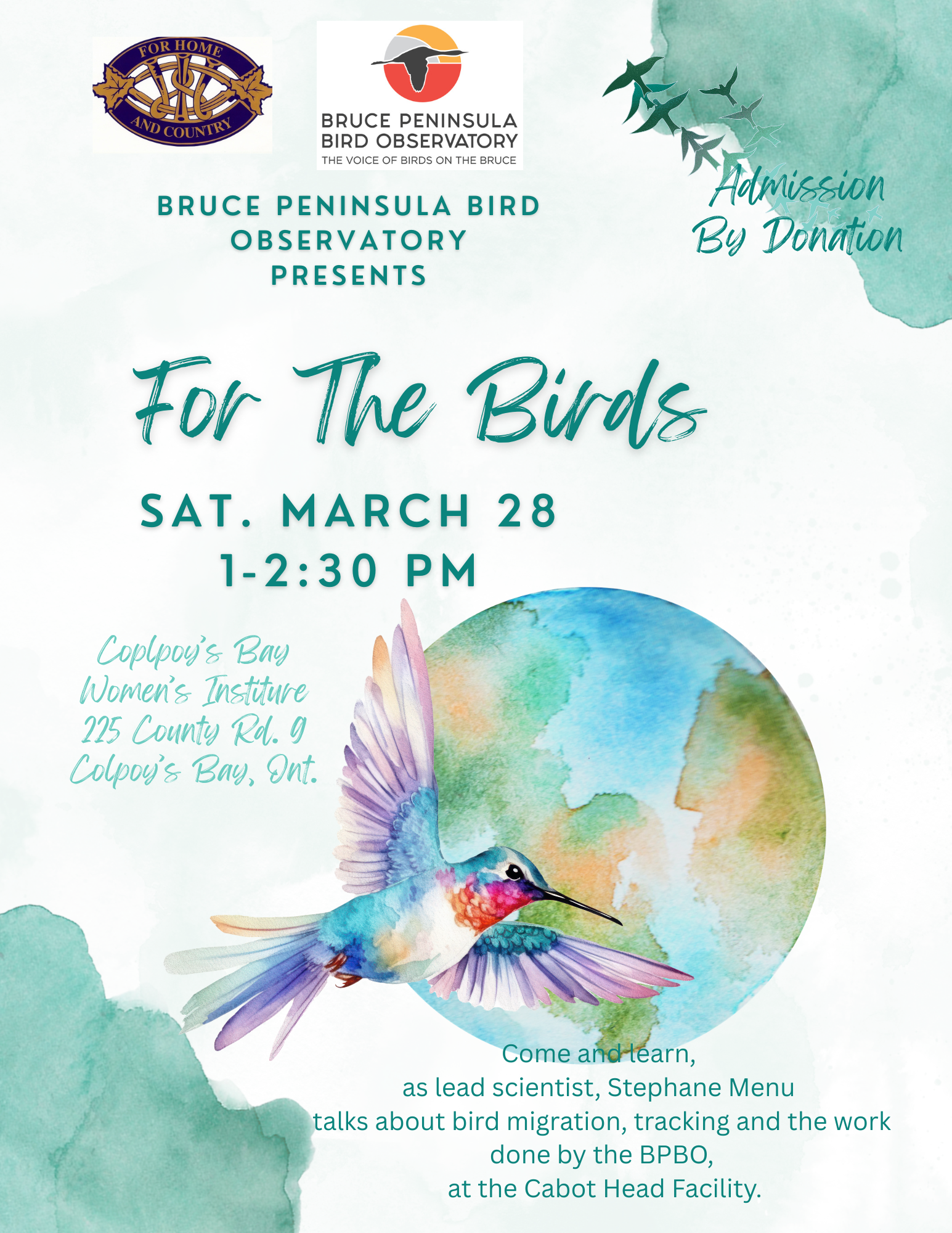 For The Birds.png